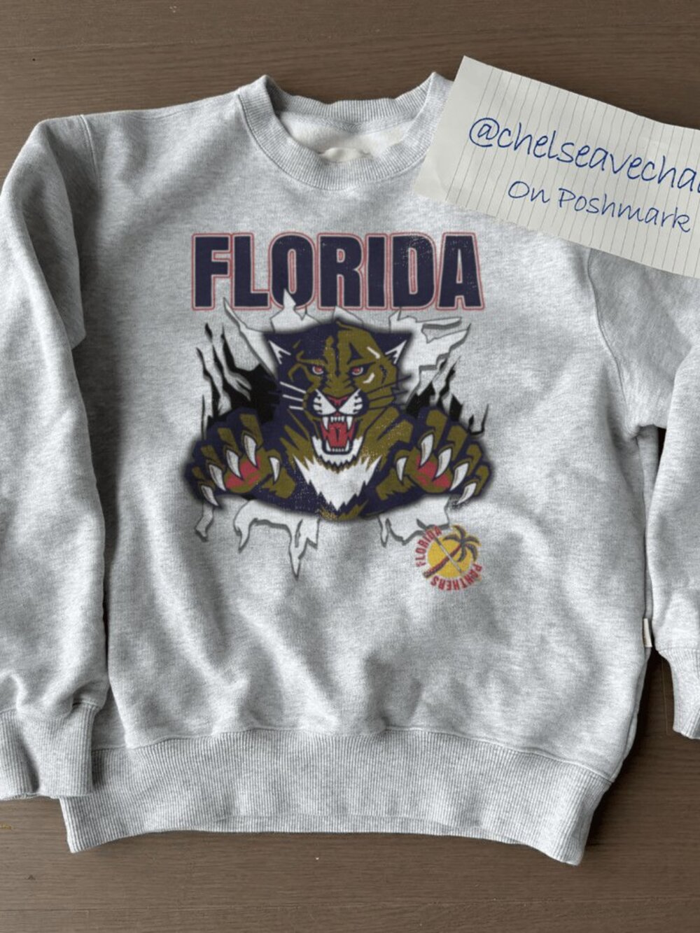 Vintage Florida Panthers Hockey Sweatshirt, Retro NHL Florida Panthers Shirt Tee